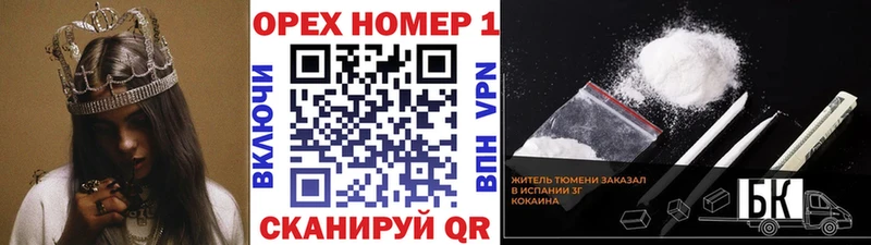 дарк нет телеграм  Губкинский  Cocaine Fish Scale 