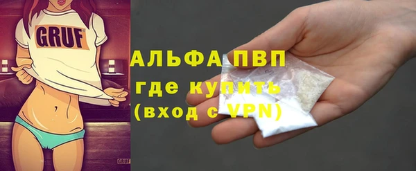 PSILOCYBIN Богданович