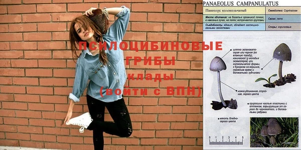 дмт Богородицк