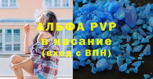 PSILOCYBIN Богданович