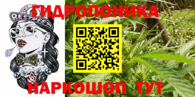 сатива Шелехов