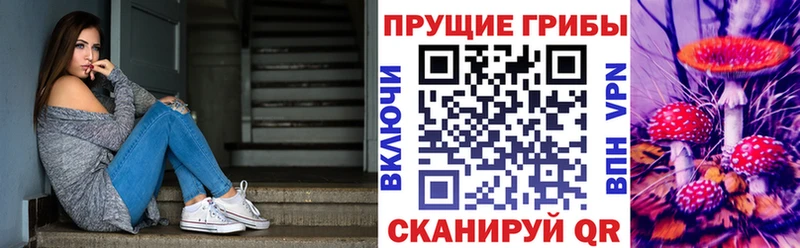 ОМГ ОМГ как зайти  где купить   Губкинский  Псилоцибиновые грибы прущие грибы 