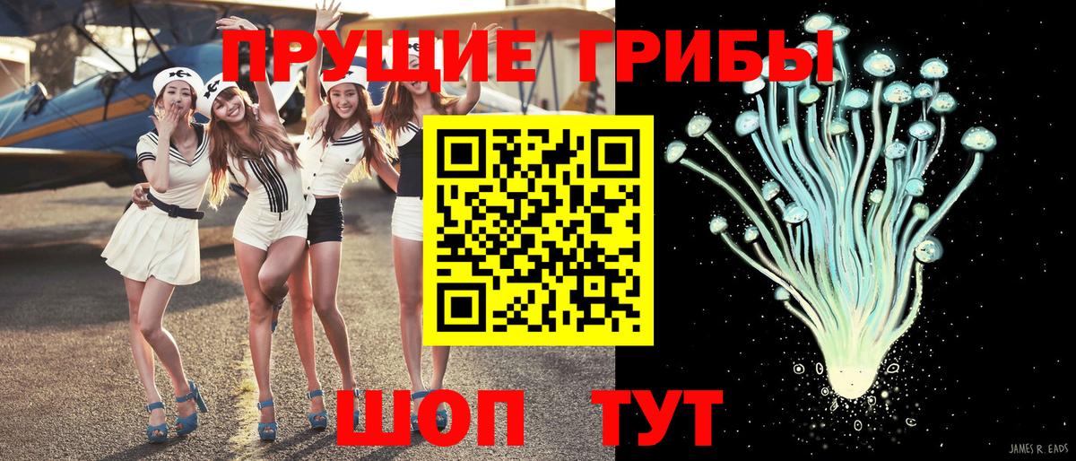 Псилоцибиновые грибы прущие грибы  Псилоцибиновые грибы Psilocybe  Губкинский  Вход с VPN 