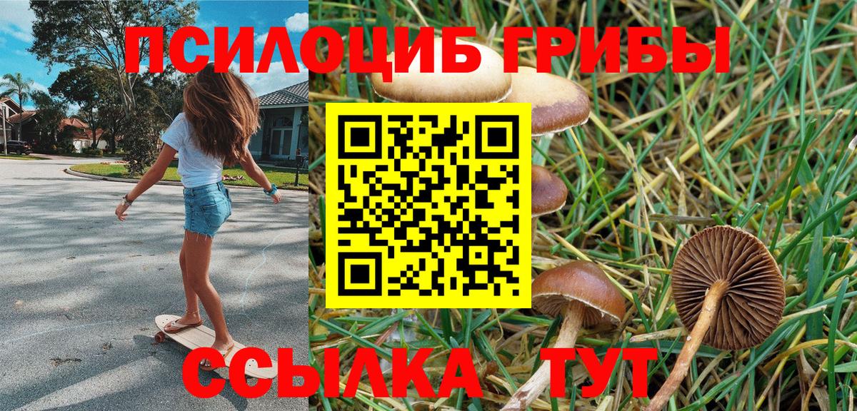Псилоцибиновые грибы мухоморы  Вход с VPN  Галлюциногенные грибы прущие грибы  Губкинский 