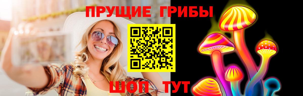 Галлюциногенные грибы прущие грибы Губкинский